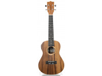 Tanglewood TWT 8 E Tanglewood TWT 8 E